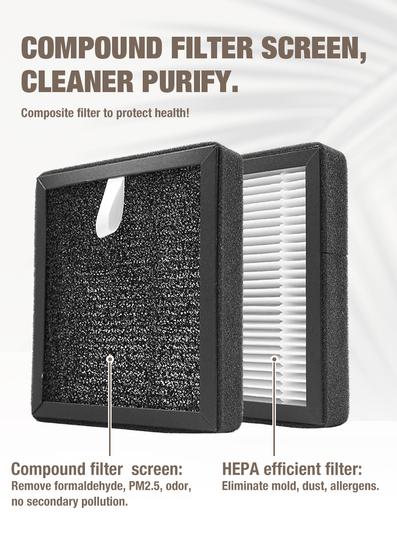 Поставщик очистки воздуха OLANSI A1 (11)