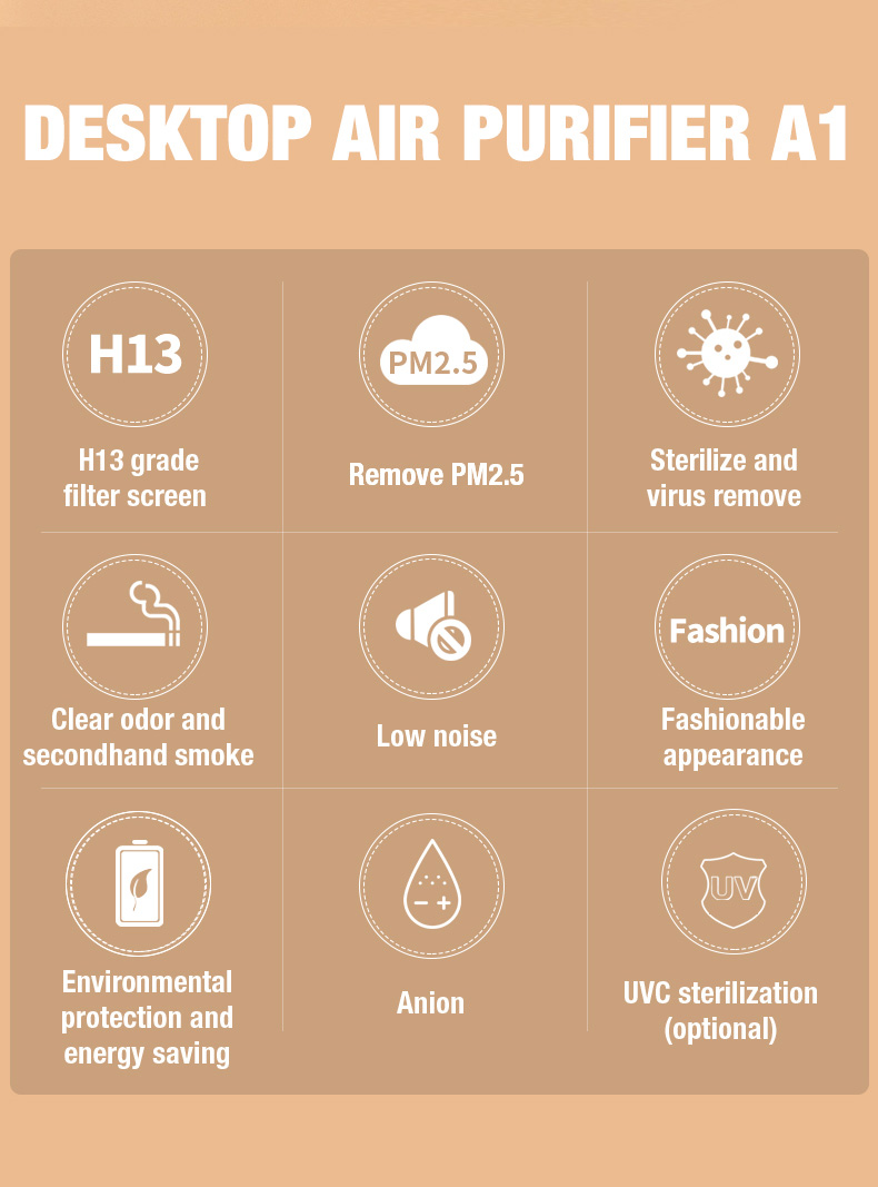 Поставщик очистки воздуха OLANSI A1 (2)