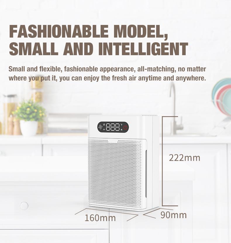 Поставщик очистки воздуха OLANSI A1 (3)