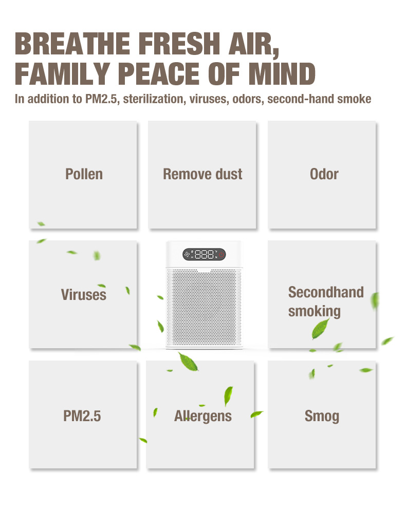 Поставщик очистки воздуха OLANSI A1 (6)